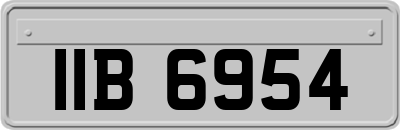 IIB6954