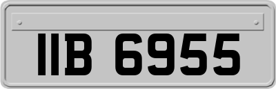 IIB6955
