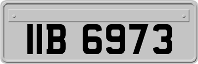 IIB6973