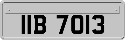 IIB7013