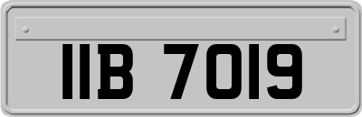 IIB7019