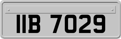 IIB7029