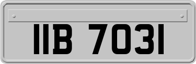 IIB7031