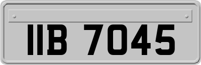 IIB7045