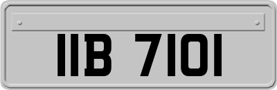 IIB7101