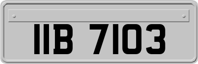 IIB7103