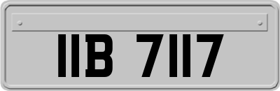 IIB7117