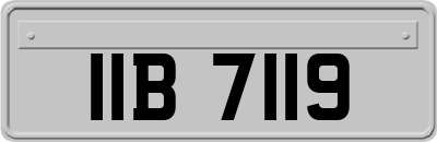 IIB7119