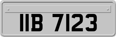 IIB7123