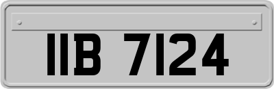 IIB7124