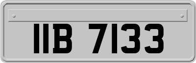 IIB7133