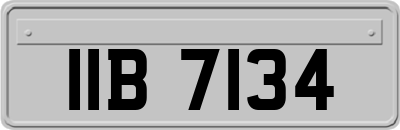 IIB7134
