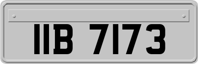 IIB7173