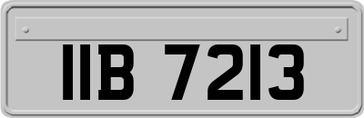 IIB7213