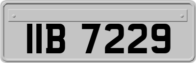 IIB7229