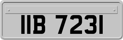 IIB7231
