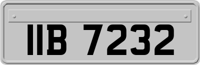 IIB7232