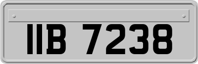IIB7238