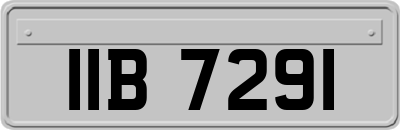 IIB7291