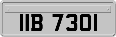 IIB7301