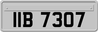 IIB7307