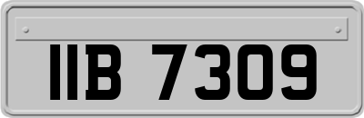 IIB7309