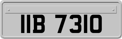 IIB7310