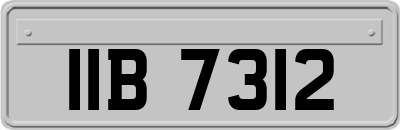 IIB7312