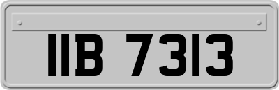 IIB7313