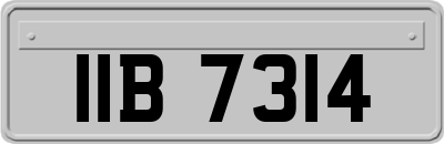 IIB7314