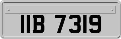 IIB7319