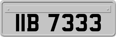 IIB7333