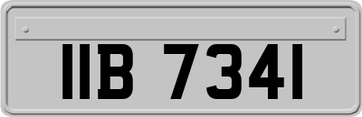 IIB7341
