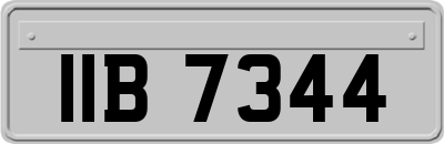IIB7344