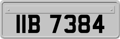 IIB7384
