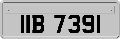 IIB7391