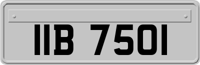 IIB7501