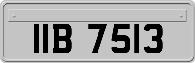 IIB7513
