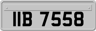 IIB7558