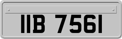 IIB7561