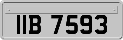 IIB7593