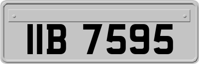 IIB7595