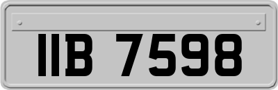 IIB7598