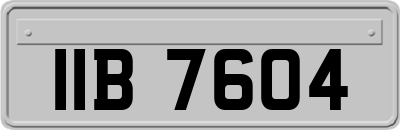 IIB7604