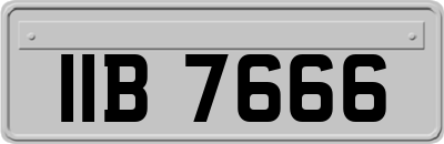 IIB7666