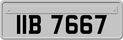 IIB7667