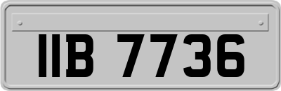 IIB7736