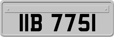 IIB7751