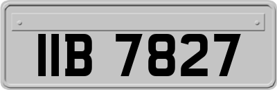IIB7827