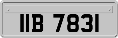 IIB7831